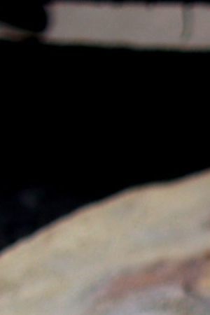 Creative Commons by René Mayorga is licensed under CC BY 2.0