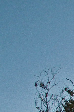 Photo by Miguel Ángel López V. Courtesy of Rebecca Scotti