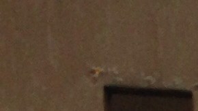 First anniversary protest of the Narvarte murder case, outside the building where photojournalist Rubén Espinosa died. By ProtoplasmaKid - Own work, CC BY-SA 4.0, Link