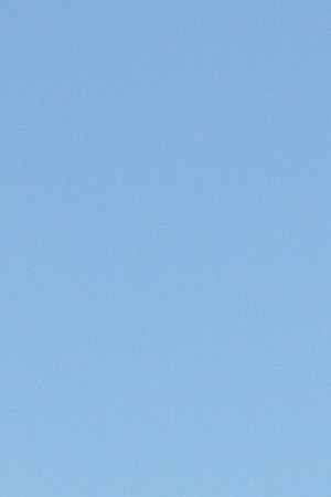 Alabama Soccer Honduras