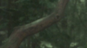 'Guardians of the Galaxy Vol. 2.' Courtesy of Marvel Studios