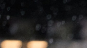 Courtesy of Kino Lorber