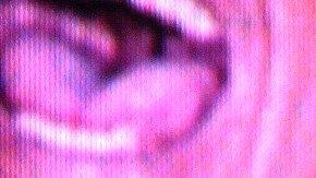 By camposart, CC BY 2.0, Link