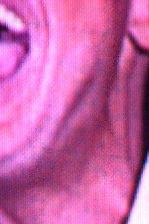 By camposart, CC BY 2.0, Link