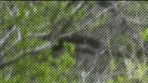 Courtesy of The Atlantic