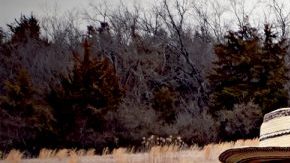 Photo by Brian Slater. Courtesy of the artist