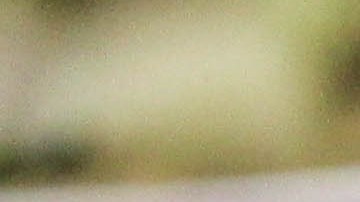 Choriburgers made of chorizo patty, cheese, homemade bacon, and mango marmalade. Photo by Kevin Vaughn for Remezcla