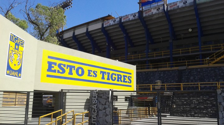 Tigres
