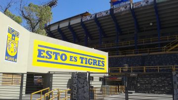 Tigres