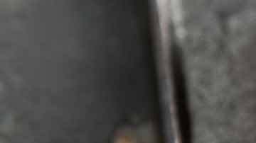 Cachapas, Guyanese cheese, guasacaca. Courtesy of The Venetian.