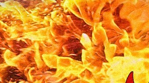 Art by Alan López for Remezcla