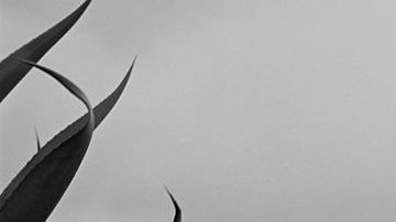 Frida Kahlo in 1937, Photo by Toni Frissell/United States Library of Congress