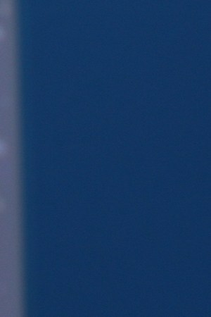 Commons "Greg Abbott, Governor of Texas” by World Travel & Tourism Council is licensed under CC BY 2.0