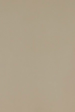 Photo credit: Claudette Barius courtesy of Pantelion Films