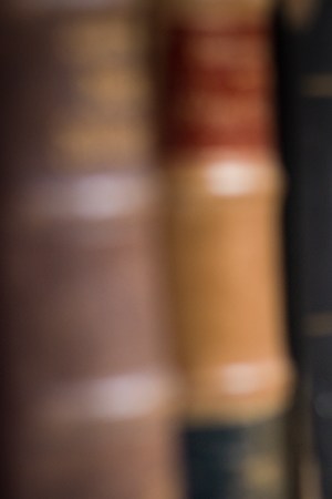 Photo by Thomaguery / iStock / Getty Images Plus