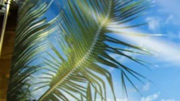 Photo by Itzel Alejandra Martinez for Remezcla