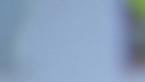 Creative Commons "Salma Hayek” by Gage Skidmore is licensed under CC BY 2.0