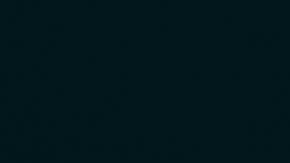 Solidarity for Sanctuary's first edition. Photo by Bethany Pangilinan. Courtesy of Doris Munoz