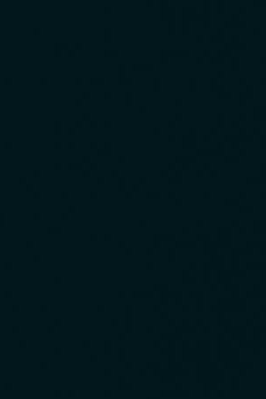 Solidarity for Sanctuary's first edition. Photo by Bethany Pangilinan. Courtesy of Doris Munoz