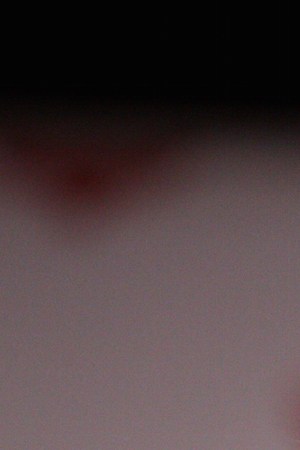 Creative Commons "Stan Lee”  by Gage Skidmore is licensed under CC BY 2.0