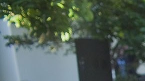 Dancers perform at the Cinco de Mayo reception in the Rose Garden of the White House, May 5, 2010.  Courtesy of Official White House, Photo by Pete Souza