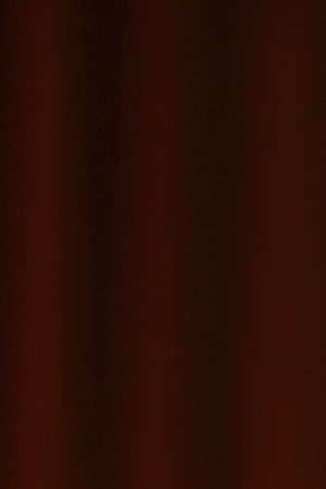 Jorge Gutierrez at the NALIP Latino Media Awards on June 24, 2017 in Hollywood, California. Photo by Phillip Faraone/Getty Images for NALIP