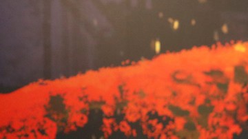 Producer Darla K Anderson, Director Lee Unkrich and Coco Co-Director Adrian Molina. Photo by Deborah Coleman. Courtesy of Pixar