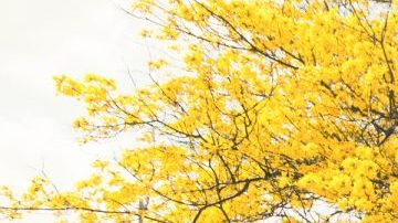 Bomba Estéreo. Courtesy of Sony Music