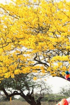 Bomba Estéreo. Courtesy of Sony Music