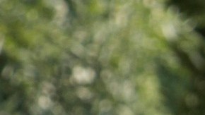 'Club De Cuervos' Season 2. Photo by Eduardo Ramirez. Courtesy of Netflix