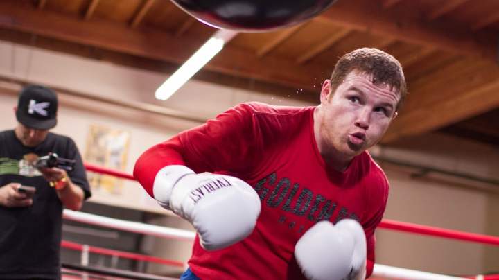 Canelo