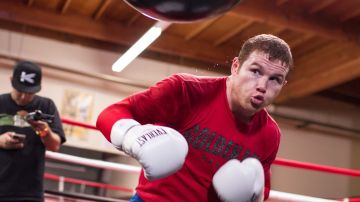 Canelo