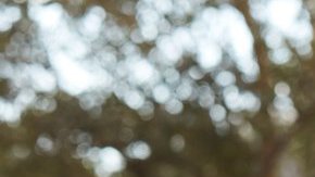 'All Eyez on Me' Film Still. Courtesy of Codeblack Films