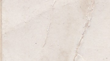 Chinese Mexican pilgrims march to the Basilica de Guadalupe, Mexico’s holiest shrine. Courtesy of Pilar Chen Chi.