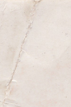 Chinese Mexican pilgrims march to the Basilica de Guadalupe, Mexico’s holiest shrine. Courtesy of Pilar Chen Chi.