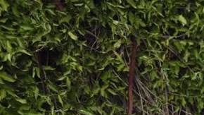 Megan Martinez. Courtesy of Dustin Ashcraft with Dustin Ashcraft Photography