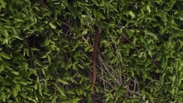 Megan Martinez. Courtesy of Dustin Ashcraft with Dustin Ashcraft Photography