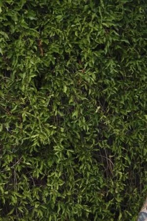 Megan Martinez. Courtesy of Dustin Ashcraft with Dustin Ashcraft Photography