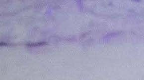 Photo by Itzel Alejandra Martinez for Remezcla