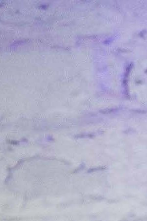 Photo by Itzel Alejandra Martinez for Remezcla