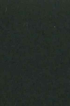 Photo by Samantha Blake Goodman. Courtesy of Rail Up