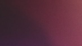 Photo by Daniel Patlán. Courtesy of Sotomayor