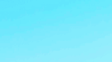 Photo by Bailey Lecat. Courtesy of Tatiana Hazel