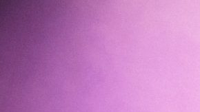 Photo by Daniel Patlán. Courtesy of Wet Baes