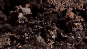 Art by Alan Lopez for Remezcla