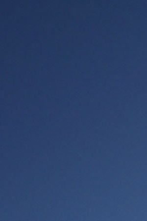 Pro-immigration activist Omar Martinez attends a rally in front of the U.S. Supreme Court April 18, 2016 in Washington, DC.  Photo by Alex Wong/Getty Images