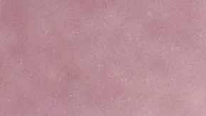 Donatella Versace. Photo by Stuart C. Wilson/Getty Images Entertainment