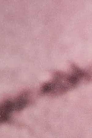 Donatella Versace. Photo by Stuart C. Wilson/Getty Images Entertainment