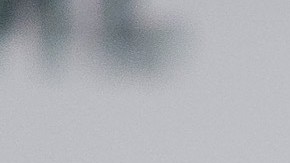 Photo by Emma McIntyre / Getty Images