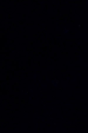 Photo by Jason Merritt/Getty Images for Universal Music